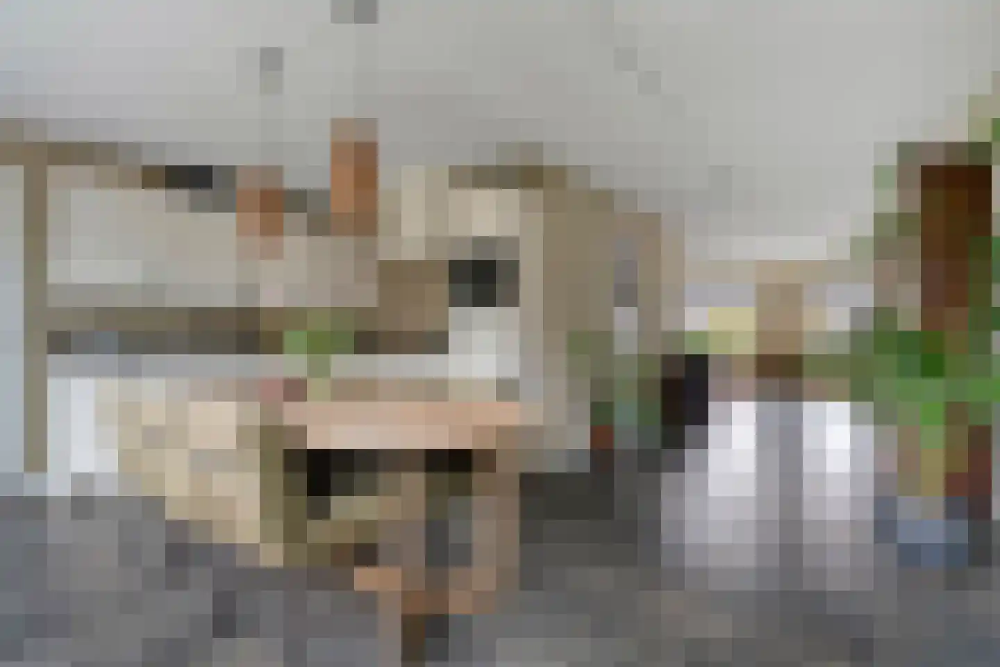 Spoelenstraat 5 Slagharen thumbnail 16