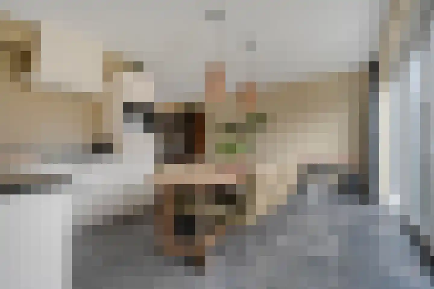 Spoelenstraat 5 Slagharen thumbnail 17