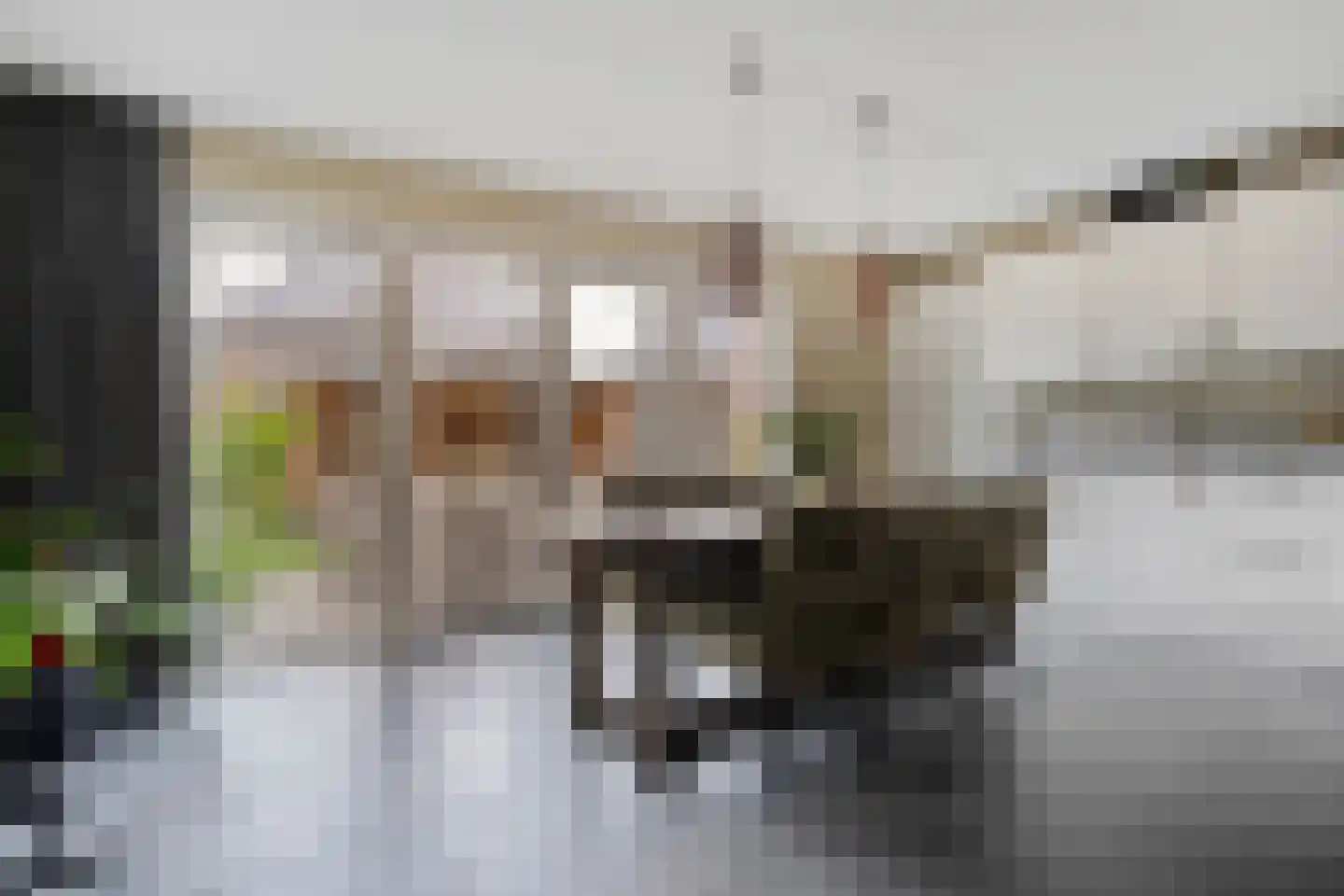 Spoelenstraat 5 Slagharen thumbnail 18