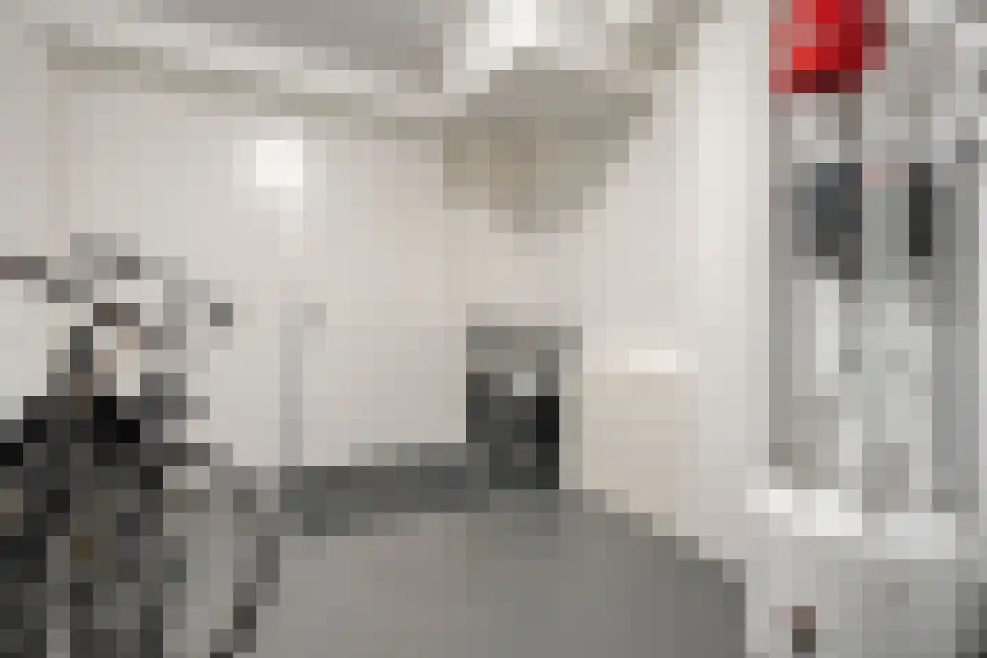Spoelenstraat 5 Slagharen thumbnail 22