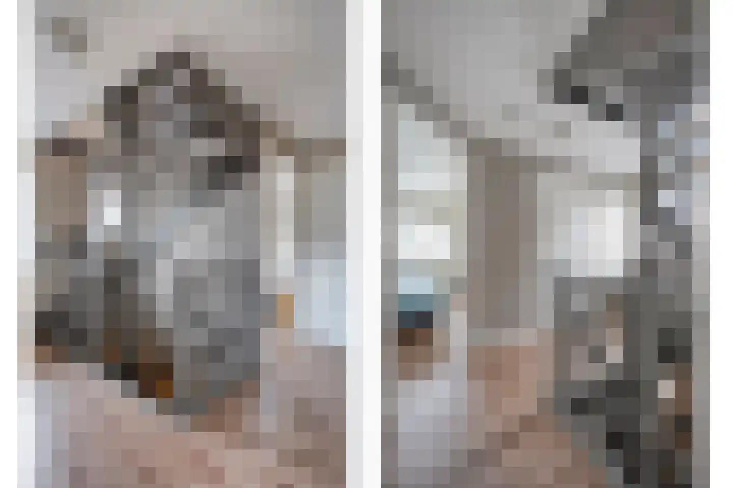 Spoelenstraat 5 Slagharen thumbnail 23