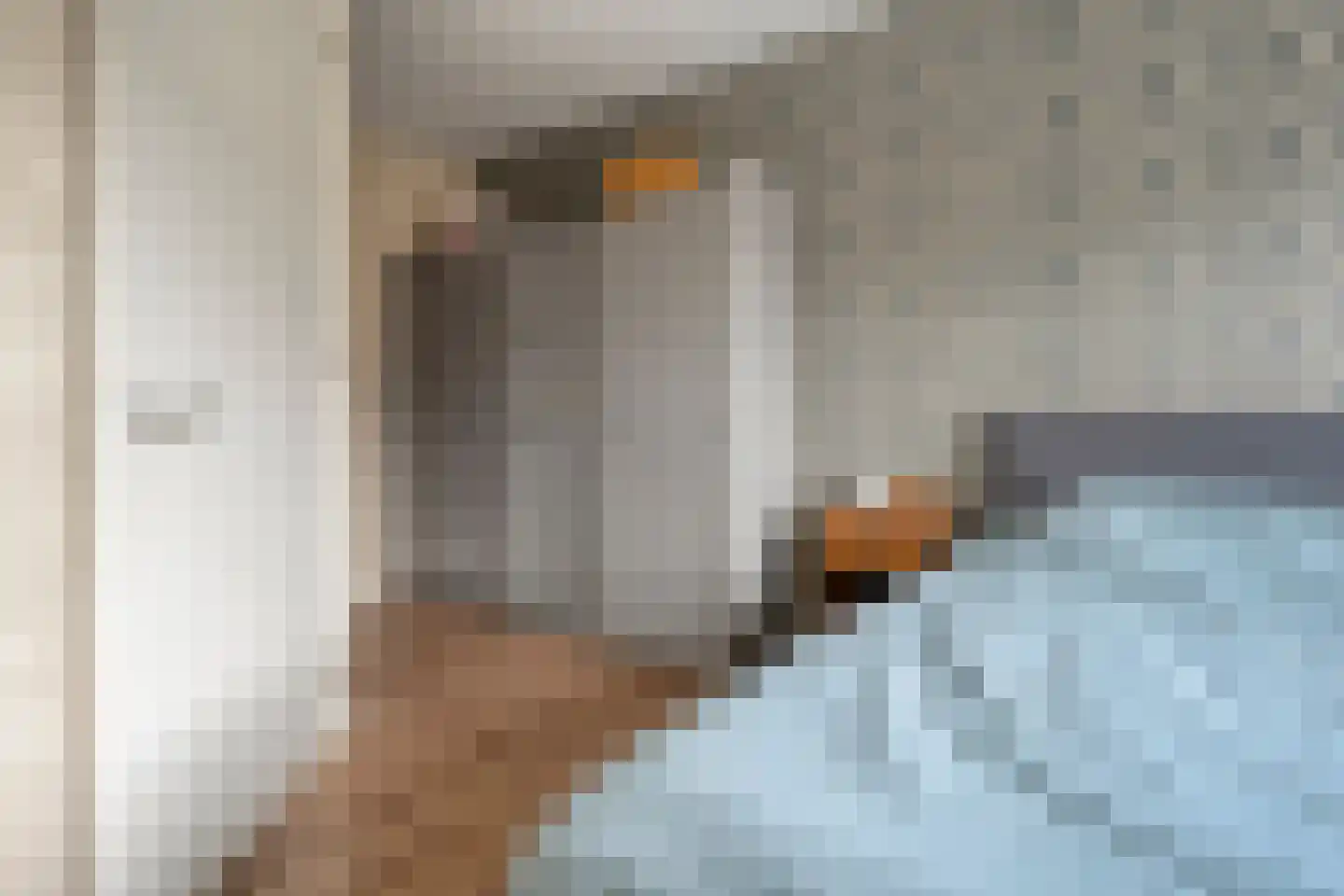 Spoelenstraat 5 Slagharen thumbnail 26