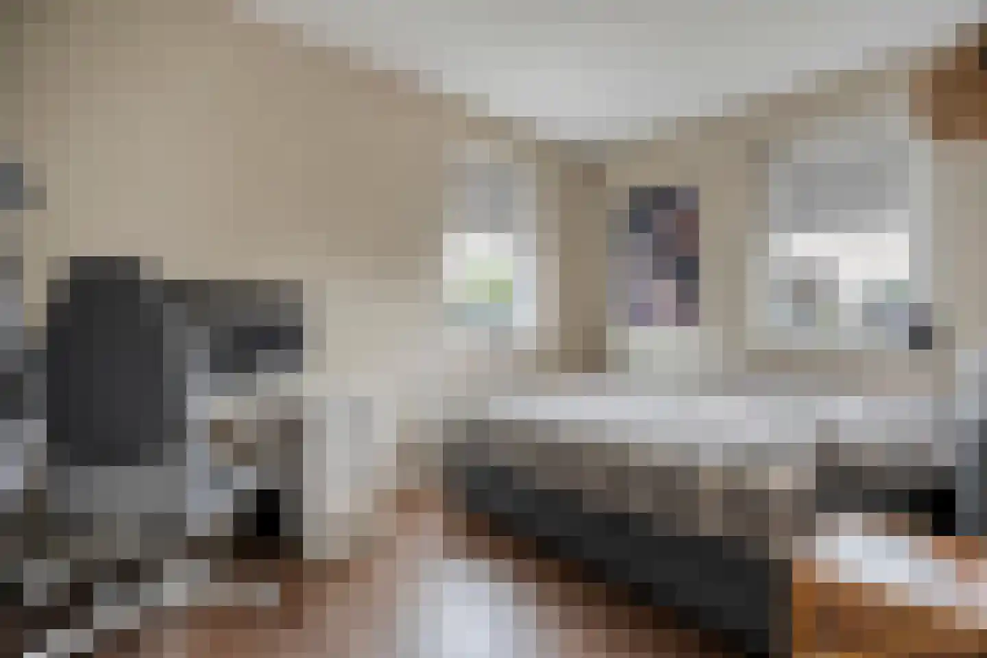 Spoelenstraat 5 Slagharen thumbnail 27