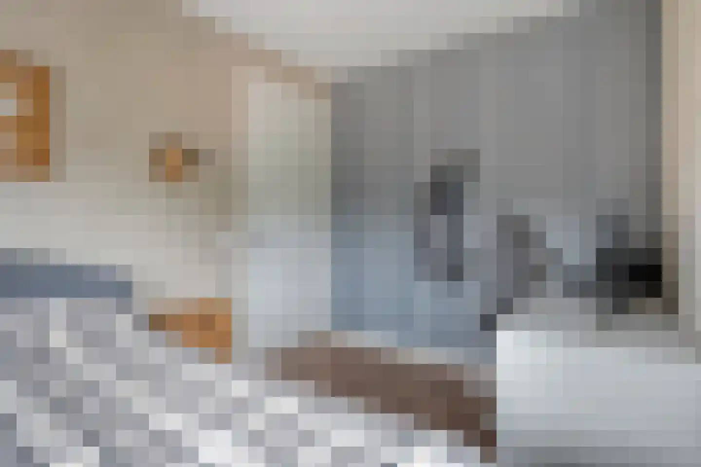 Spoelenstraat 5 Slagharen thumbnail 28