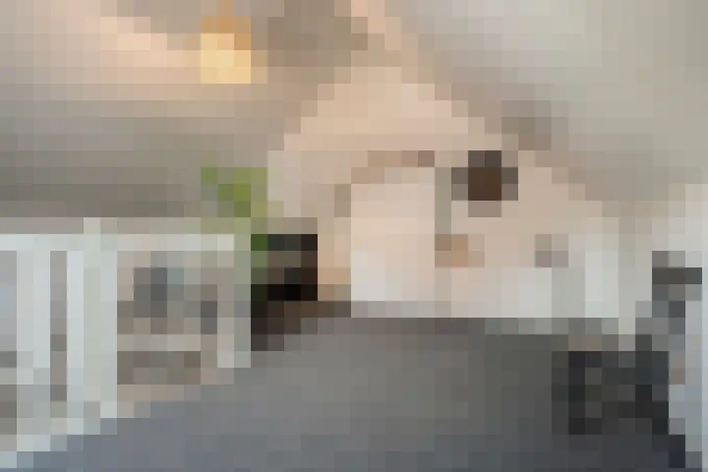 Spoelenstraat 5 Slagharen thumbnail 33