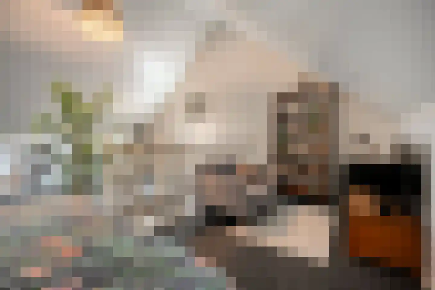 Spoelenstraat 5 Slagharen thumbnail 35