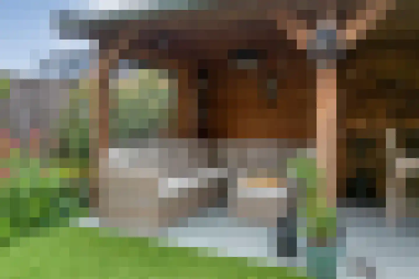 Spoelenstraat 5 Slagharen thumbnail 36