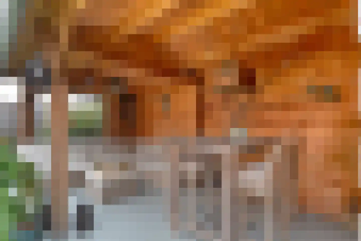 Spoelenstraat 5 Slagharen thumbnail 42