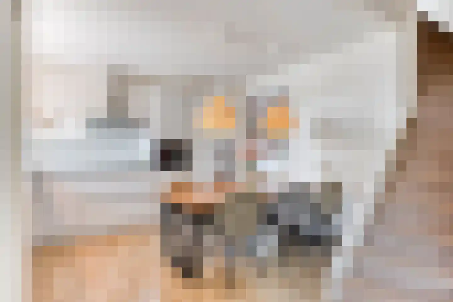 Spoelhoren 12 Hellevoetsluis thumbnail 7