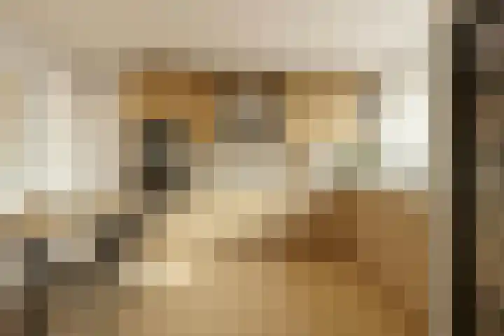 Spoelhoren 23 Hellevoetsluis thumbnail 5