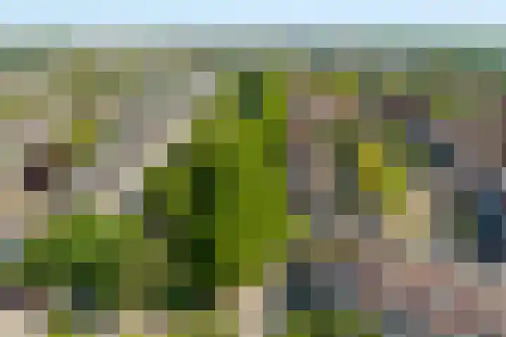 Spoelhoren 45 Noordwijk thumbnail 5