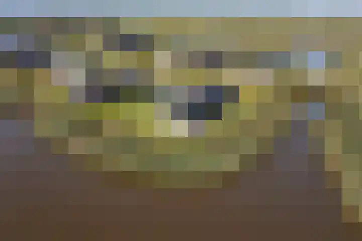 Spoellaan 17 Heemskerk thumbnail 20