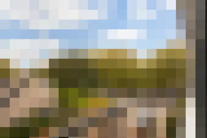 Spoellaan 17 Heemskerk thumbnail 23