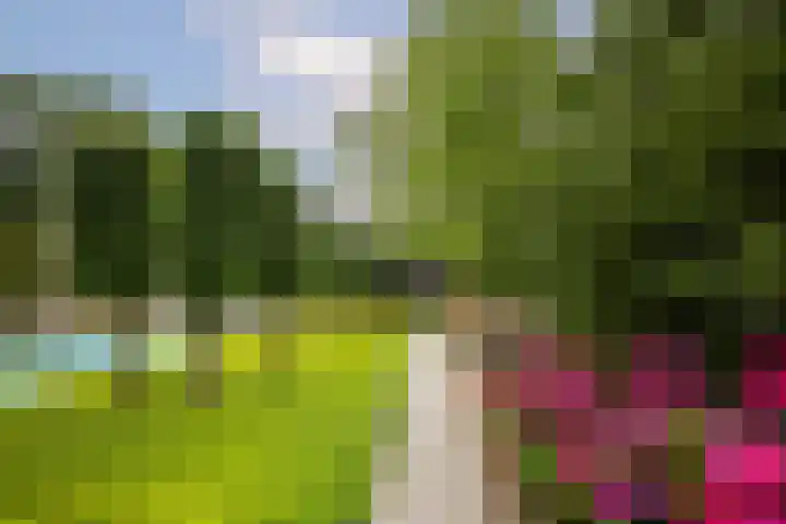 Spoellaan 17 Heemskerk thumbnail 25