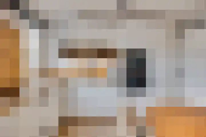 Spoellaan 17 Heemskerk thumbnail 27