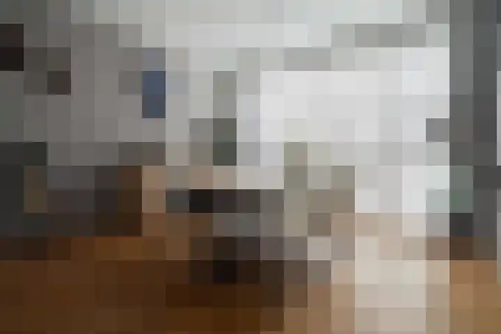 Spoellaan 17 Heemskerk thumbnail 5