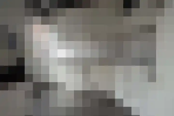 Spoellaan 17 Heemskerk thumbnail 7