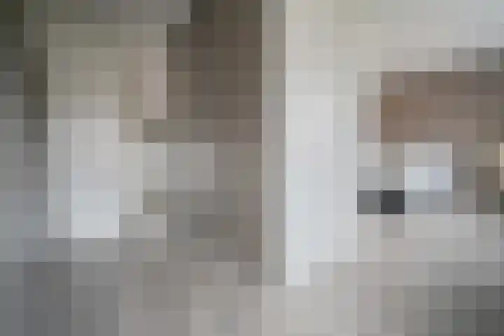 Spoellaan 56 Heemskerk thumbnail 19