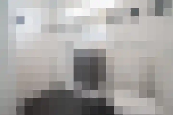 Spoellaan 56 Heemskerk thumbnail 24