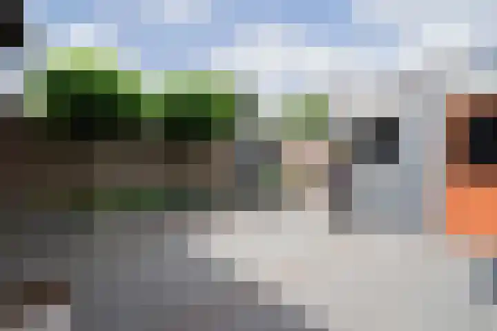 Spoellaan 56 Heemskerk thumbnail 30