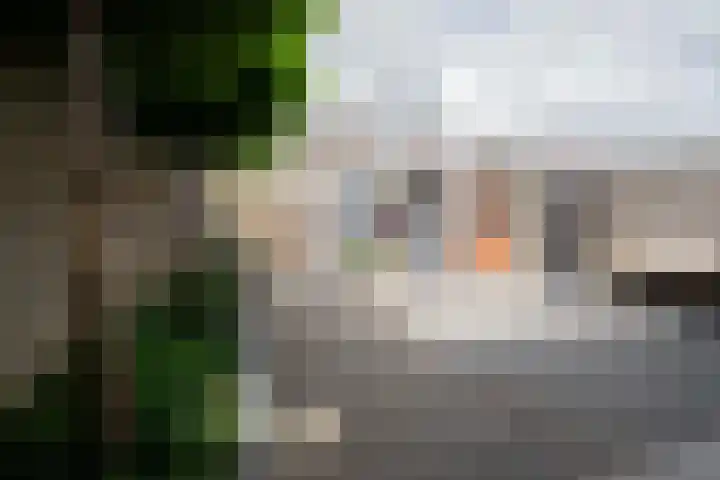 Spoellaan 56 Heemskerk thumbnail 31
