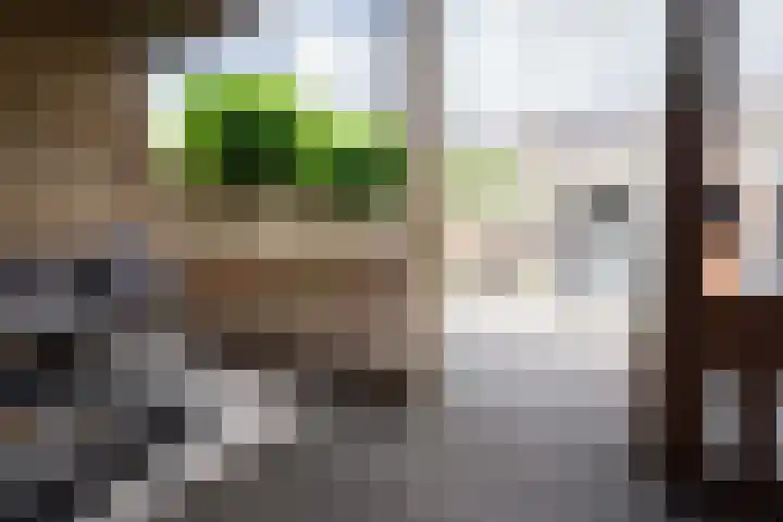 Spoellaan 56 Heemskerk thumbnail 34