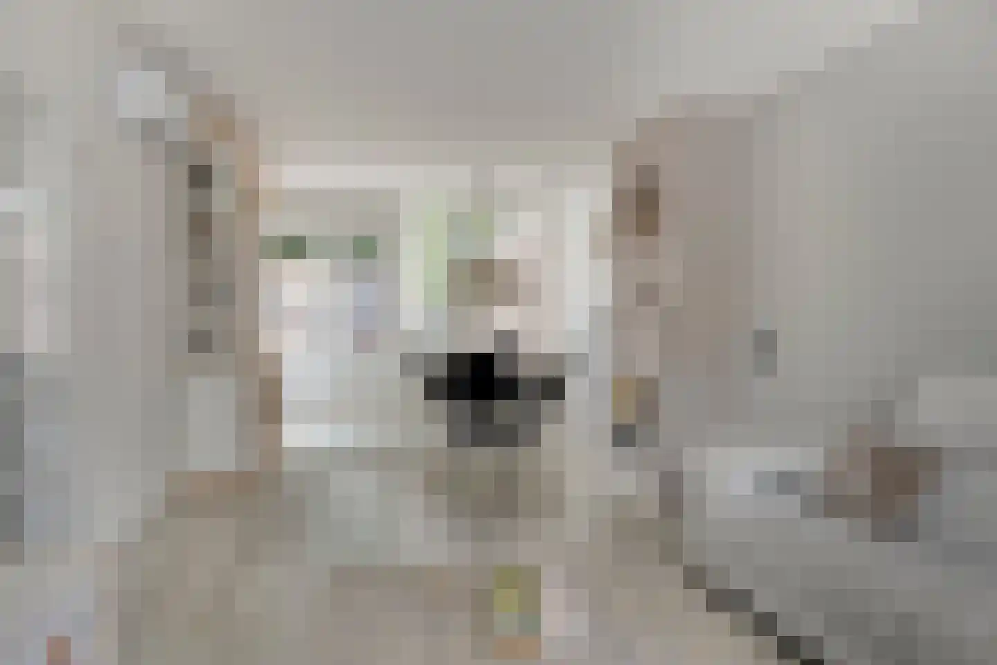 Spoelsterstraat 6 Haaksbergen thumbnail 14