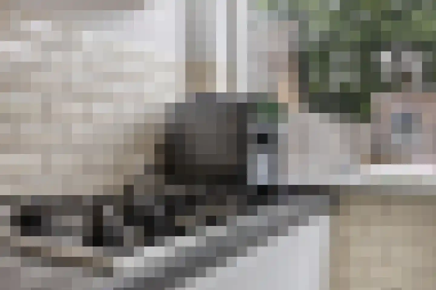 Spoelsterstraat 6 Haaksbergen thumbnail 23