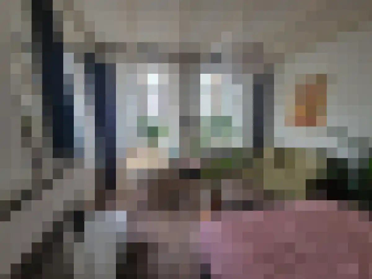 Spoelstraat Zwolle thumbnail 4