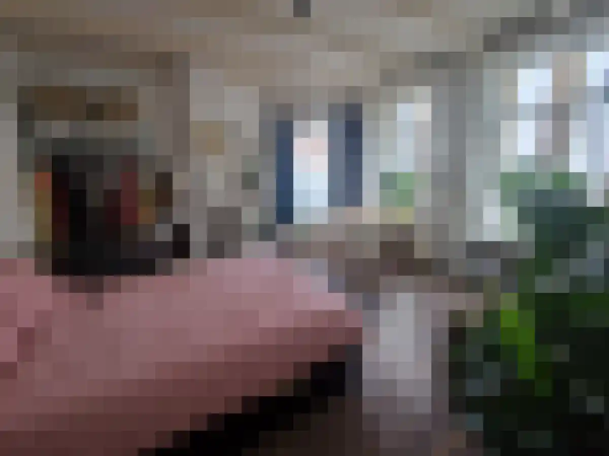 Spoelstraat Zwolle thumbnail 5