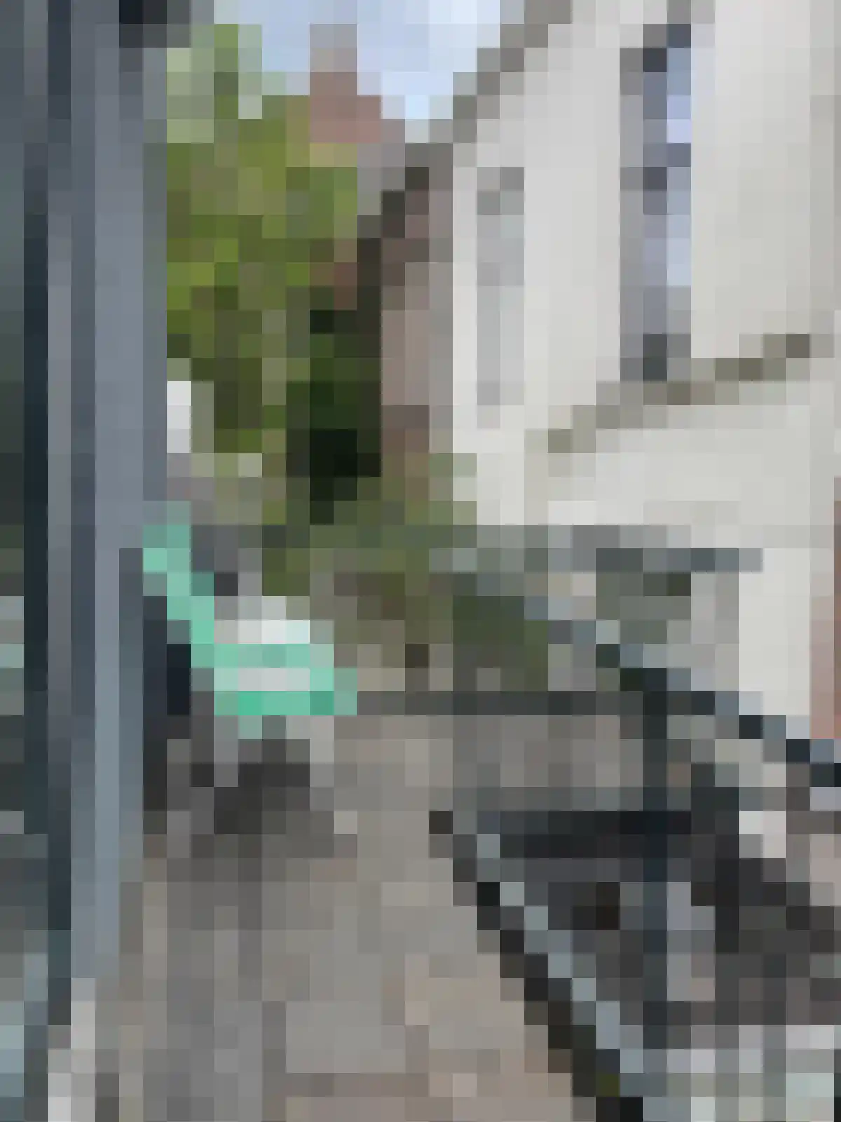 Spoelstraat Zwolle thumbnail 5
