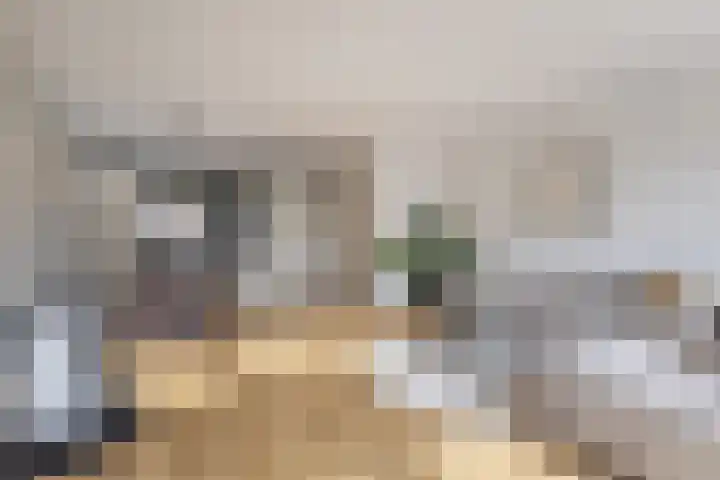 Spoetnikstraat 10 Oostzaan thumbnail 16