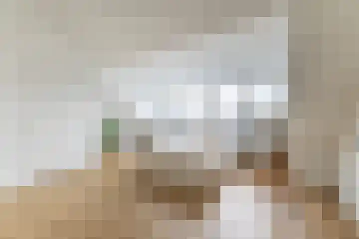Spoetnikstraat 10 Oostzaan thumbnail 4