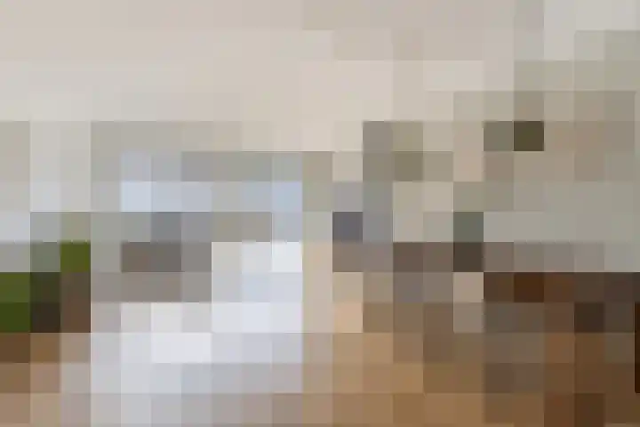 Spoetnikstraat 10 Oostzaan thumbnail 8