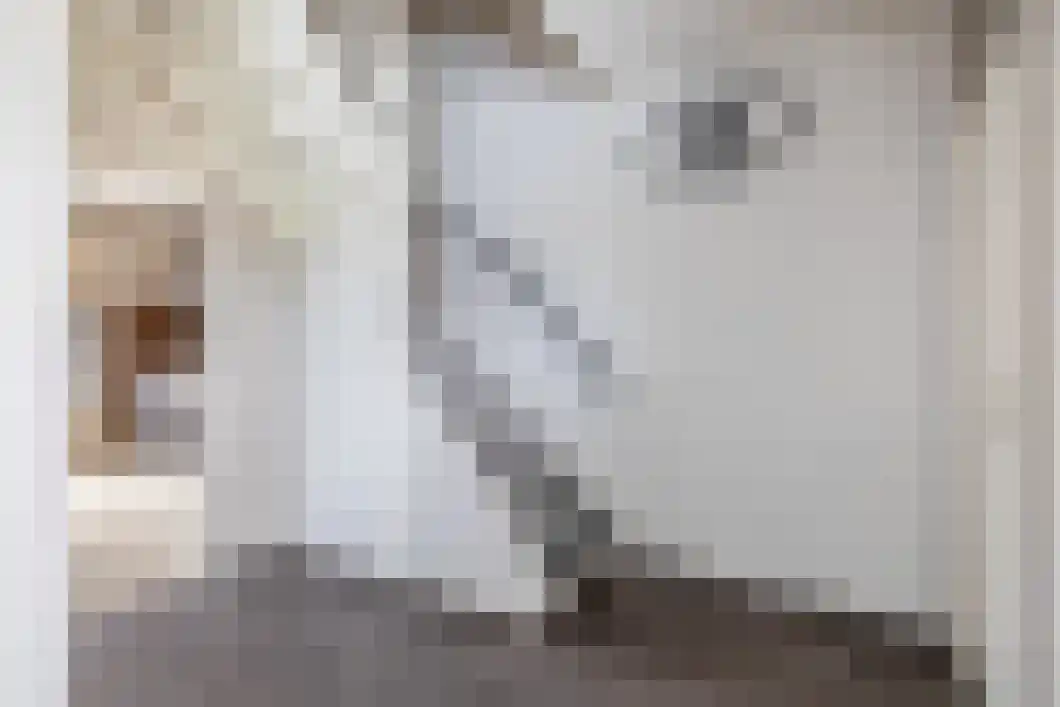 Spoetnikstraat 125 Oude Pekela thumbnail 16
