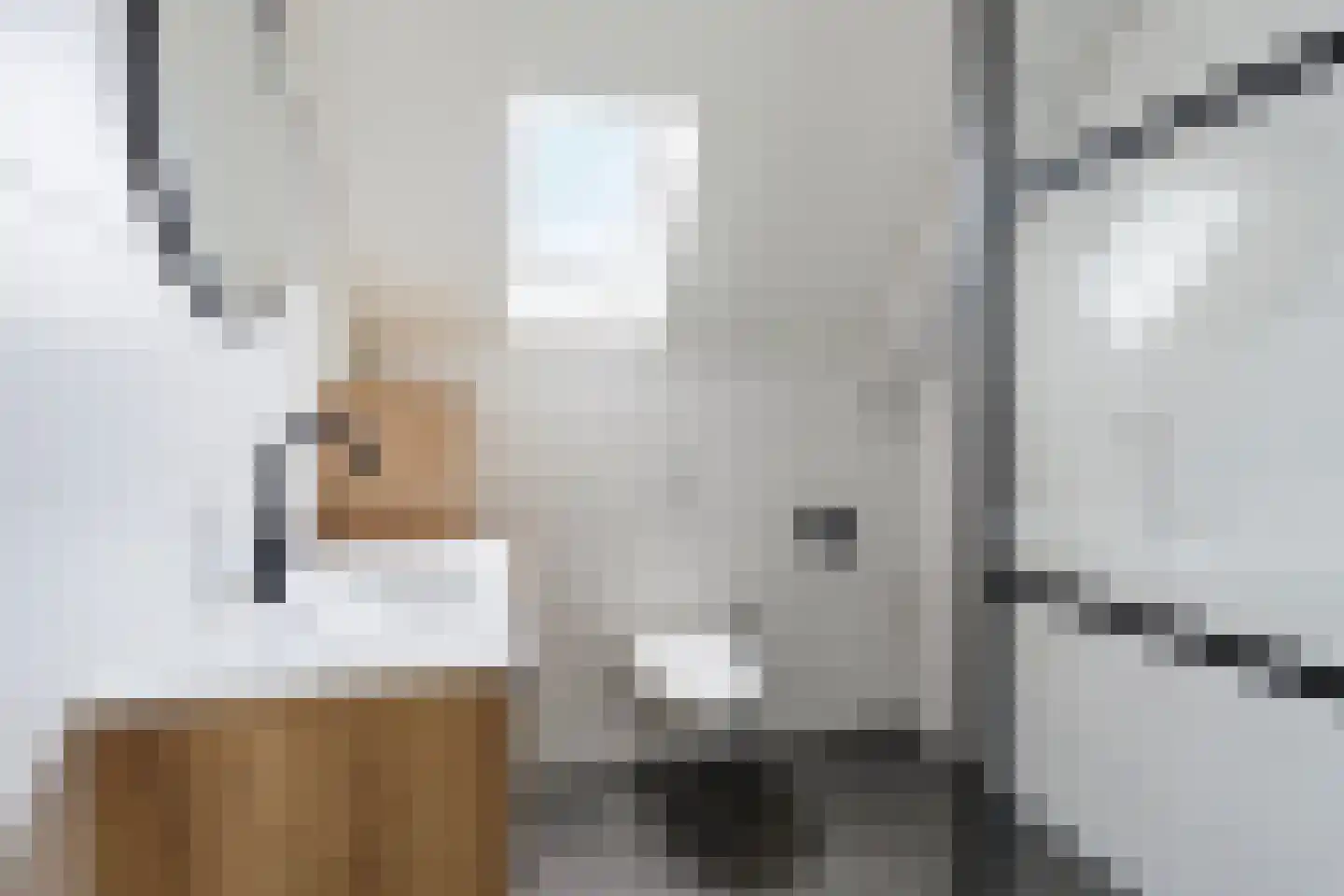 Spoetnikstraat 13 Dirkshorn thumbnail 17