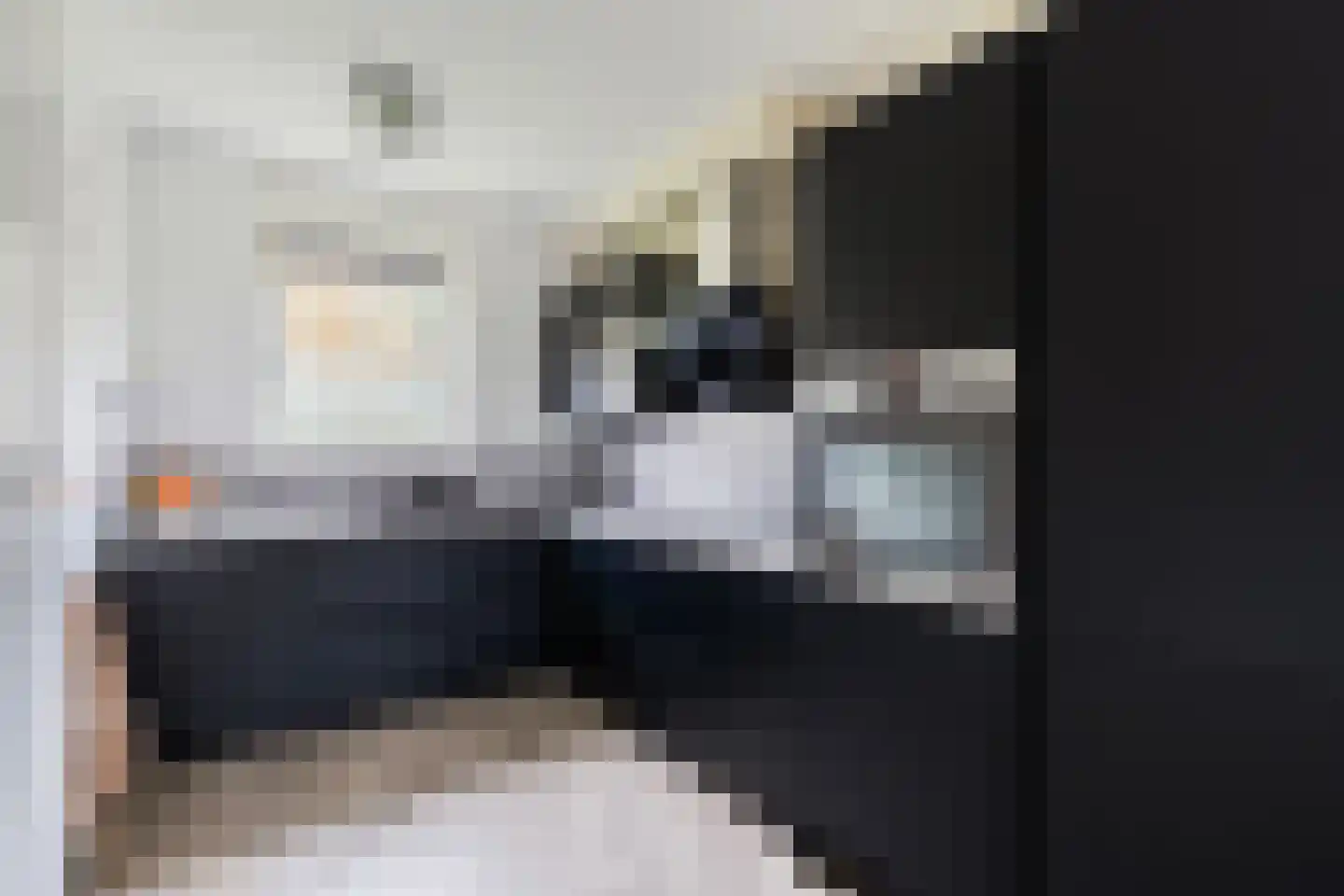 Spoetnikstraat 13 Dirkshorn thumbnail 8
