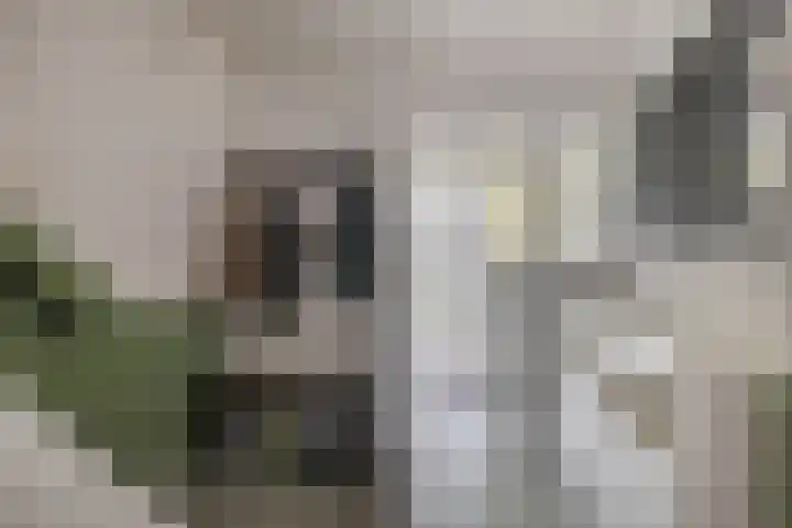 Spoetnikstraat 16 Oude Pekela thumbnail 9