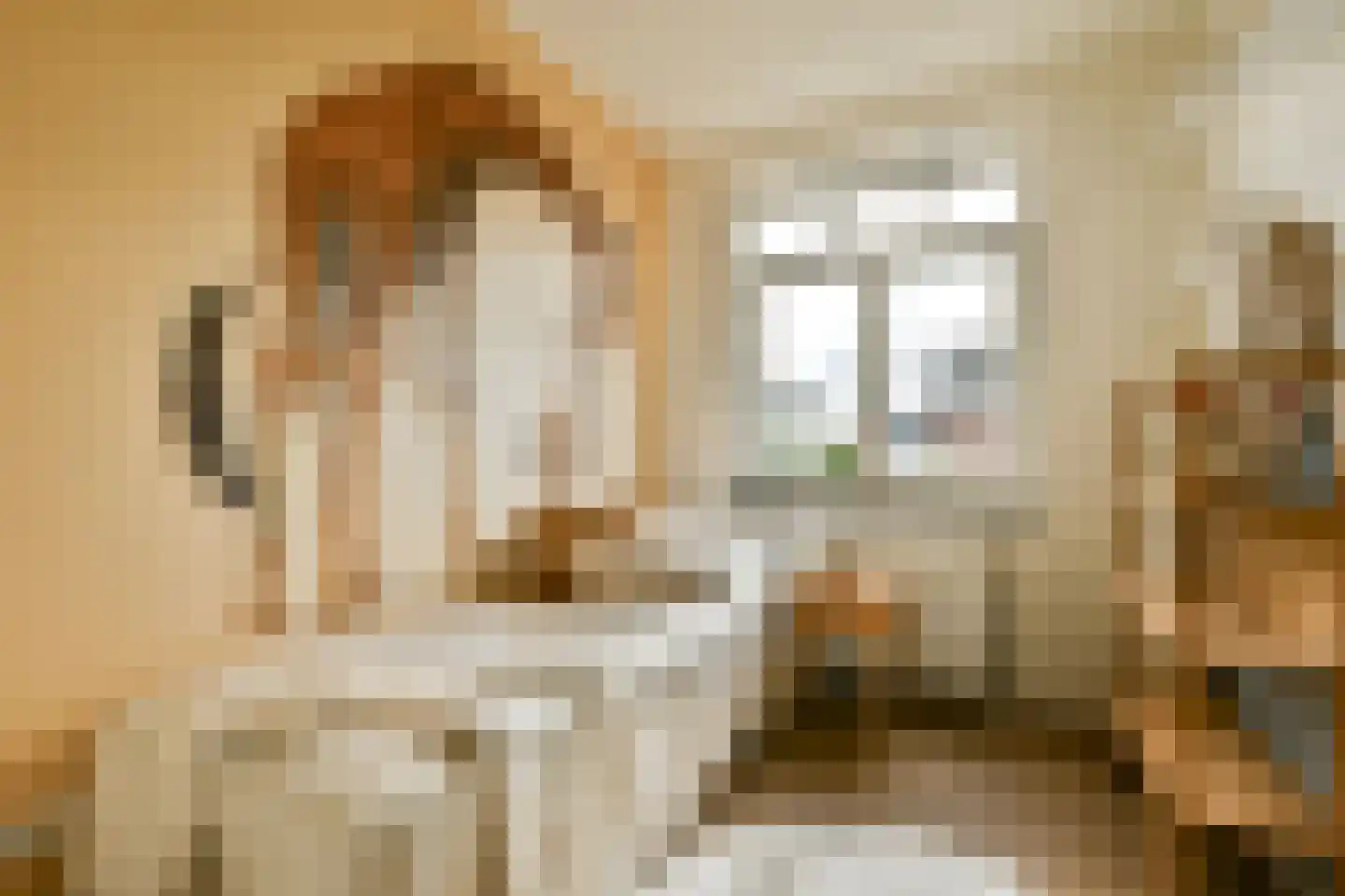 Spoetnikstraat 26 Oostzaan thumbnail 18