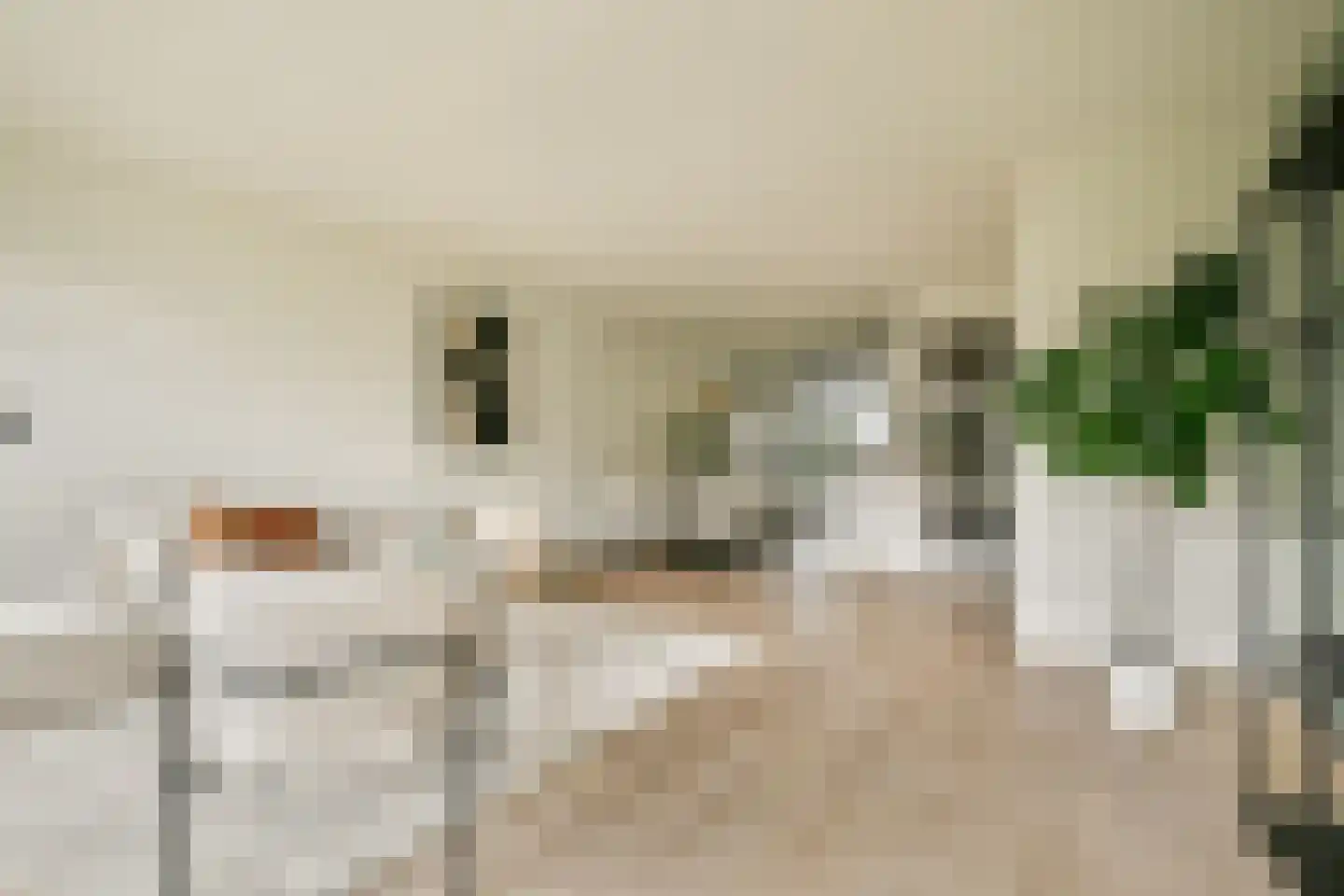 Spoetnikstraat 26 Oostzaan thumbnail 4