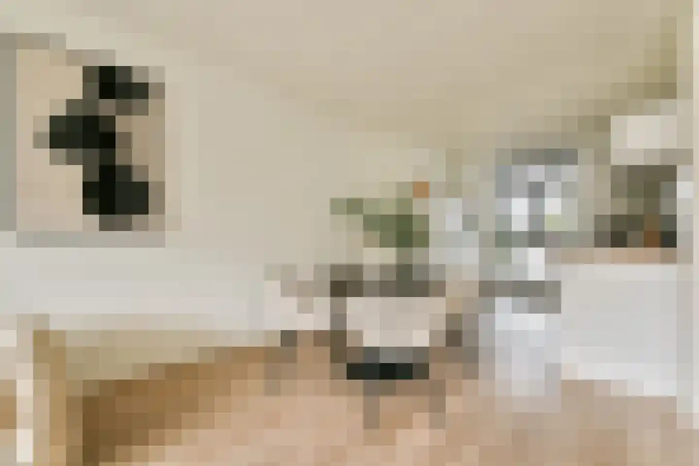 Spoetnikstraat 26 Oostzaan thumbnail 7