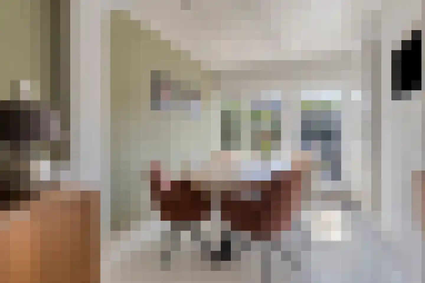 Spoetnikstraat 33 Oisterwijk thumbnail 11