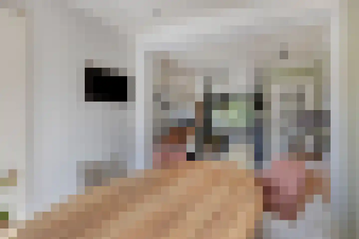 Spoetnikstraat 33 Oisterwijk thumbnail 12