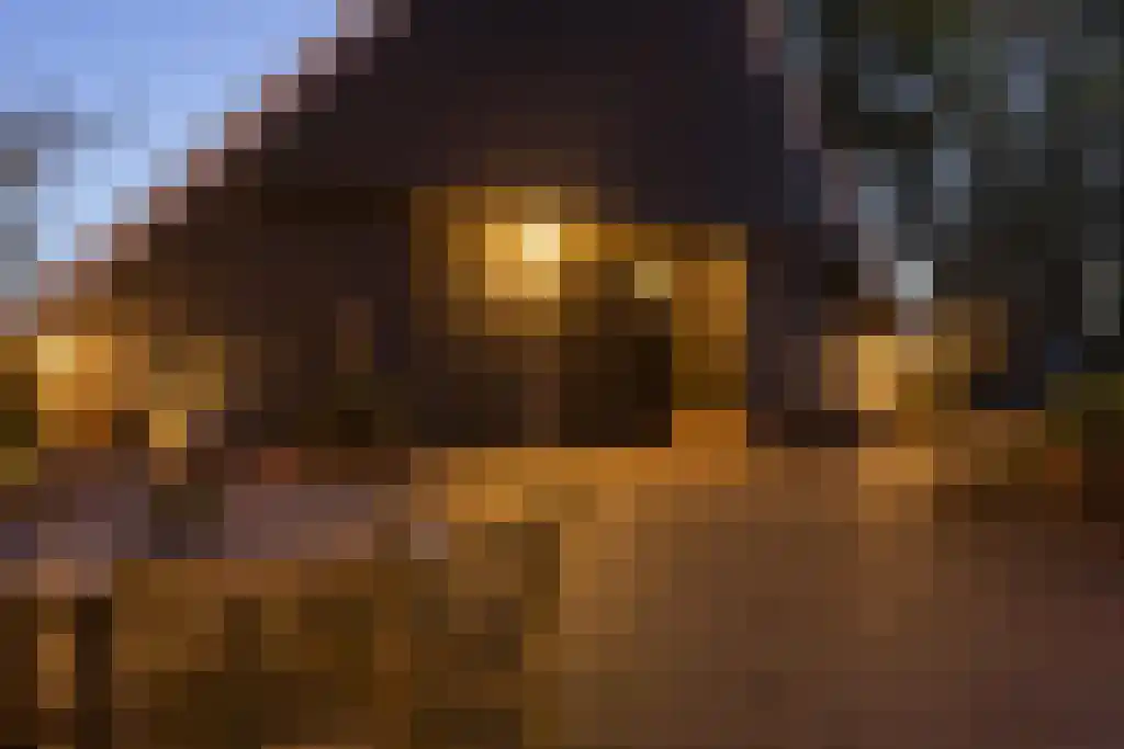 Spölmanweg 4 Oud Ootmarsum thumbnail 10