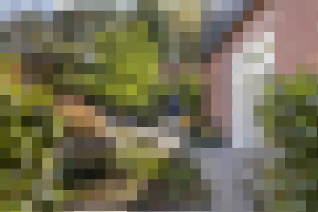 Spölmanweg 4 Oud Ootmarsum thumbnail 100
