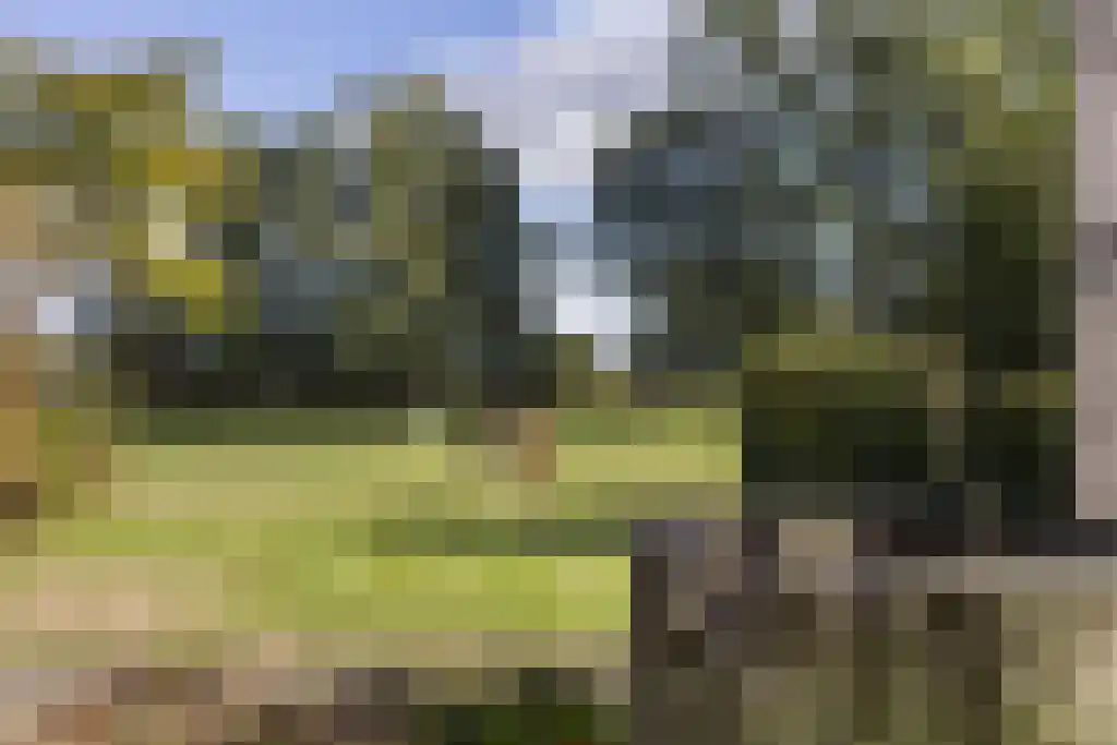 Spölmanweg 4 Oud Ootmarsum thumbnail 102