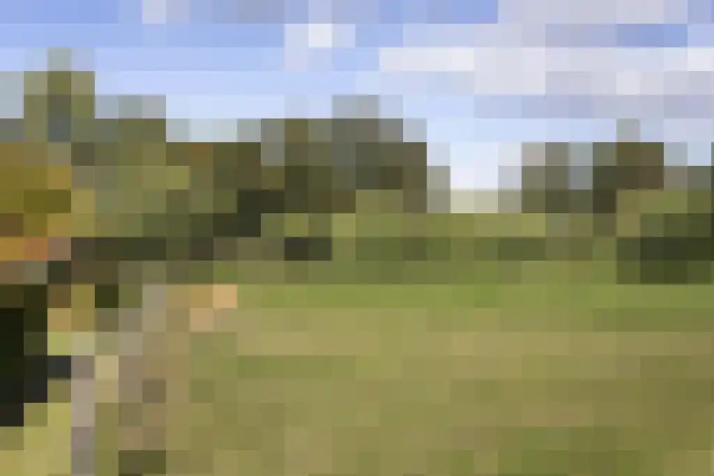 Spölmanweg 4 Oud Ootmarsum thumbnail 103