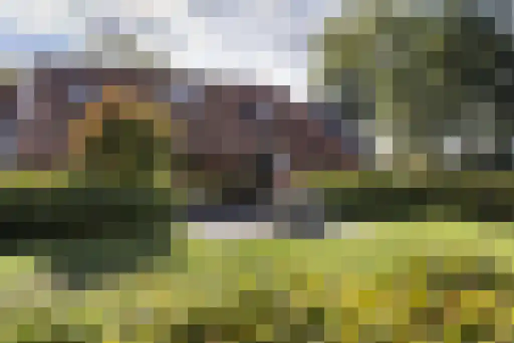 Spölmanweg 4 Oud Ootmarsum thumbnail 104