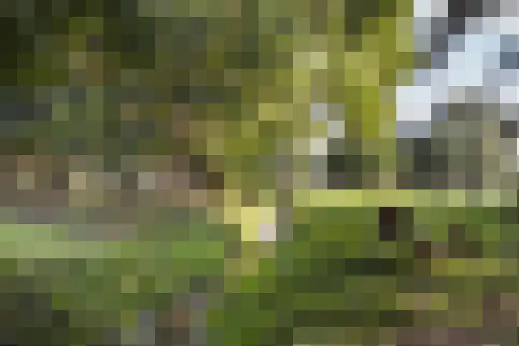 Spölmanweg 4 Oud Ootmarsum thumbnail 106