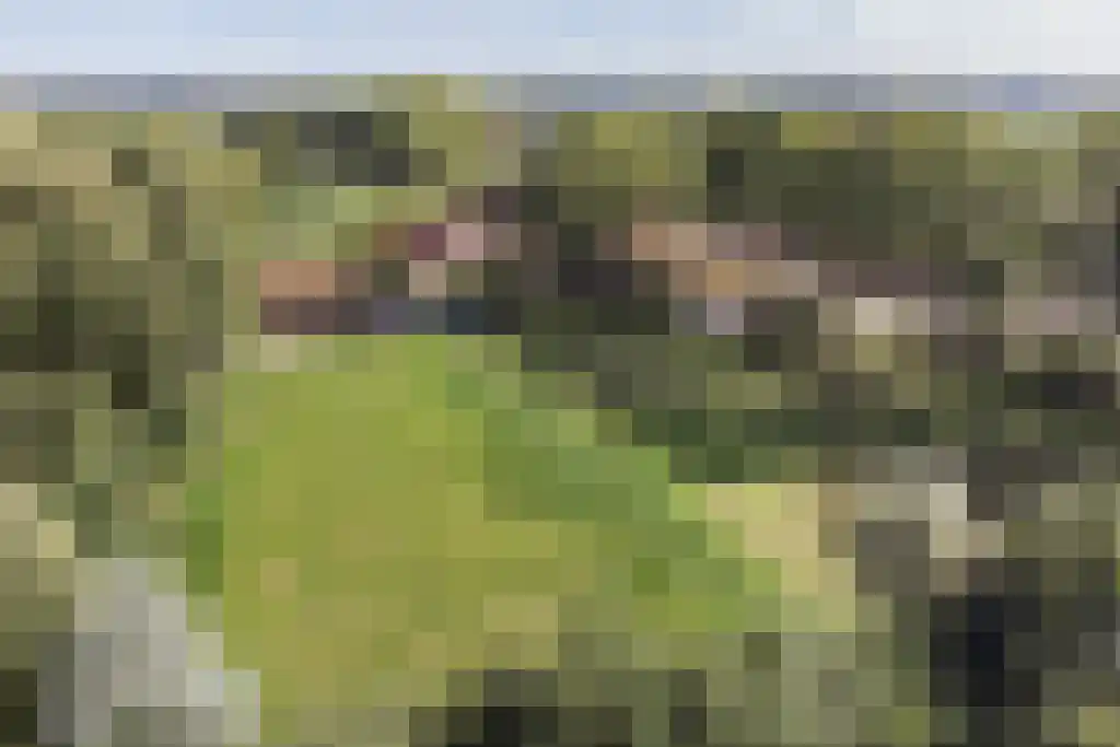 Spölmanweg 4 Oud Ootmarsum thumbnail 107